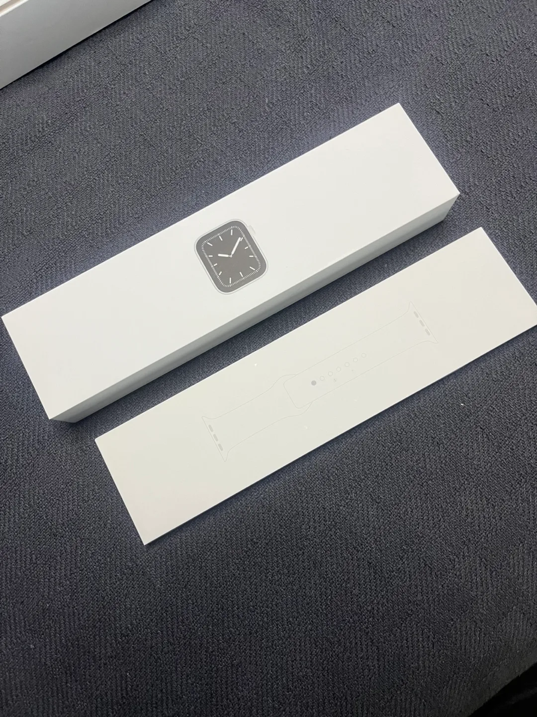 Apple Watch Series 5 image indicator(4)