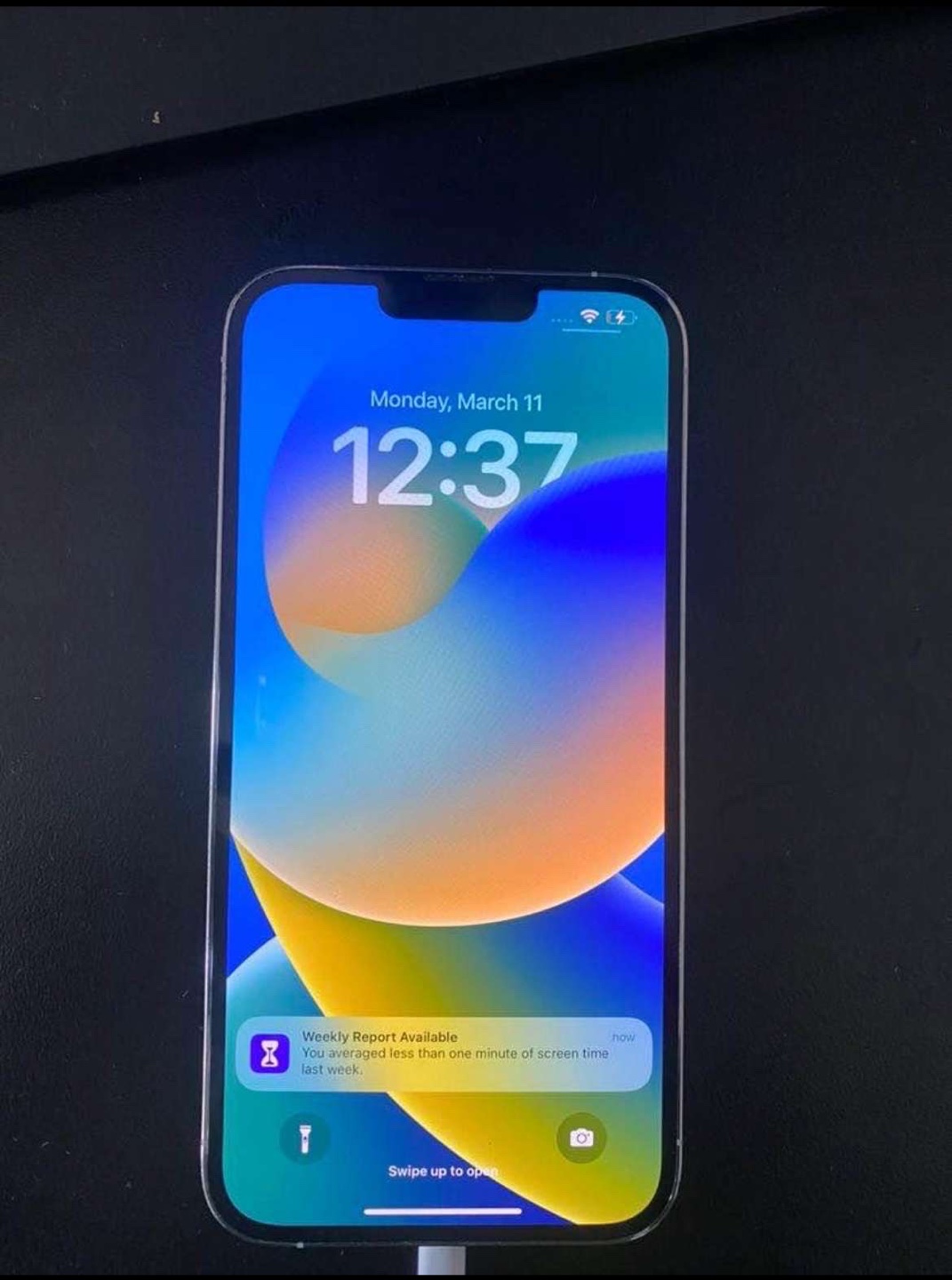 iPhone 13 Pro Max (128 GB) - Sierra Blue - photo 3
