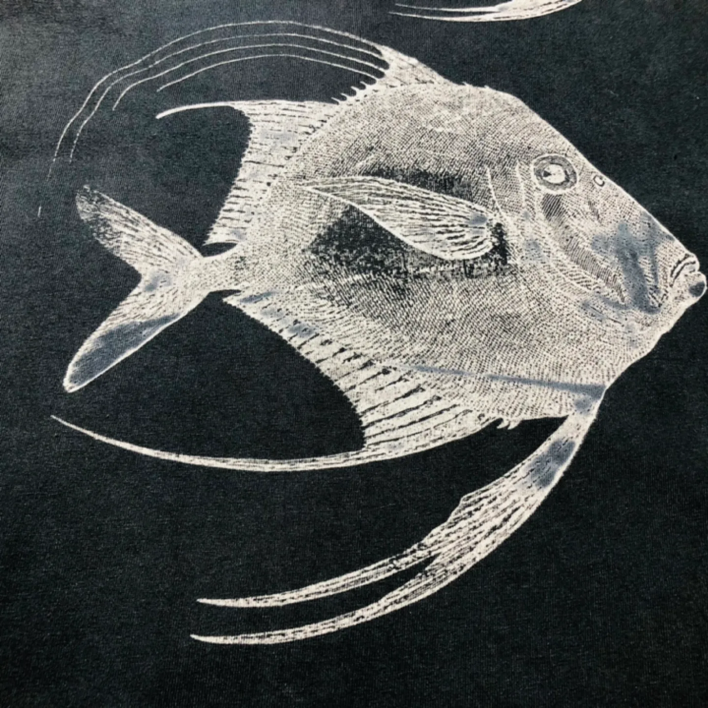 Rogues Gallery Deep Dyed Hand-Printed T-Shirt image indicator(4)