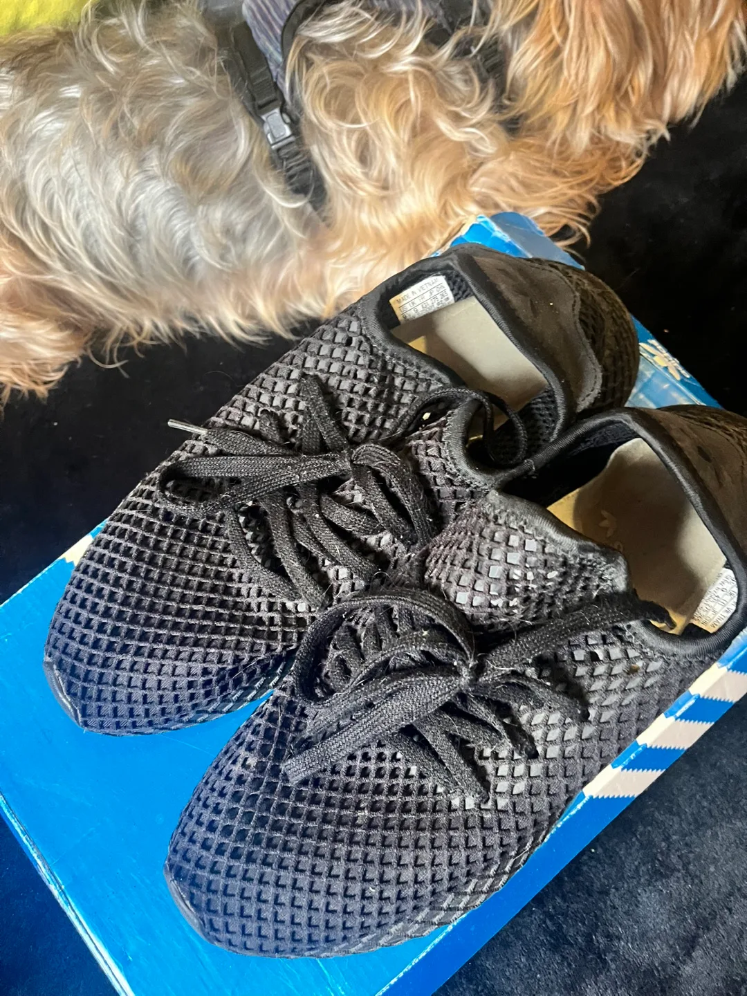 Adidas Originals Black Mesh Sneakers image indicator(3)