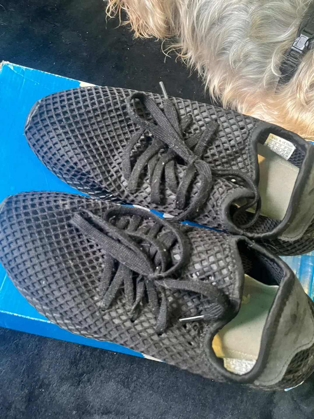 Adidas Originals Black Mesh Sneakers image indicator(4)