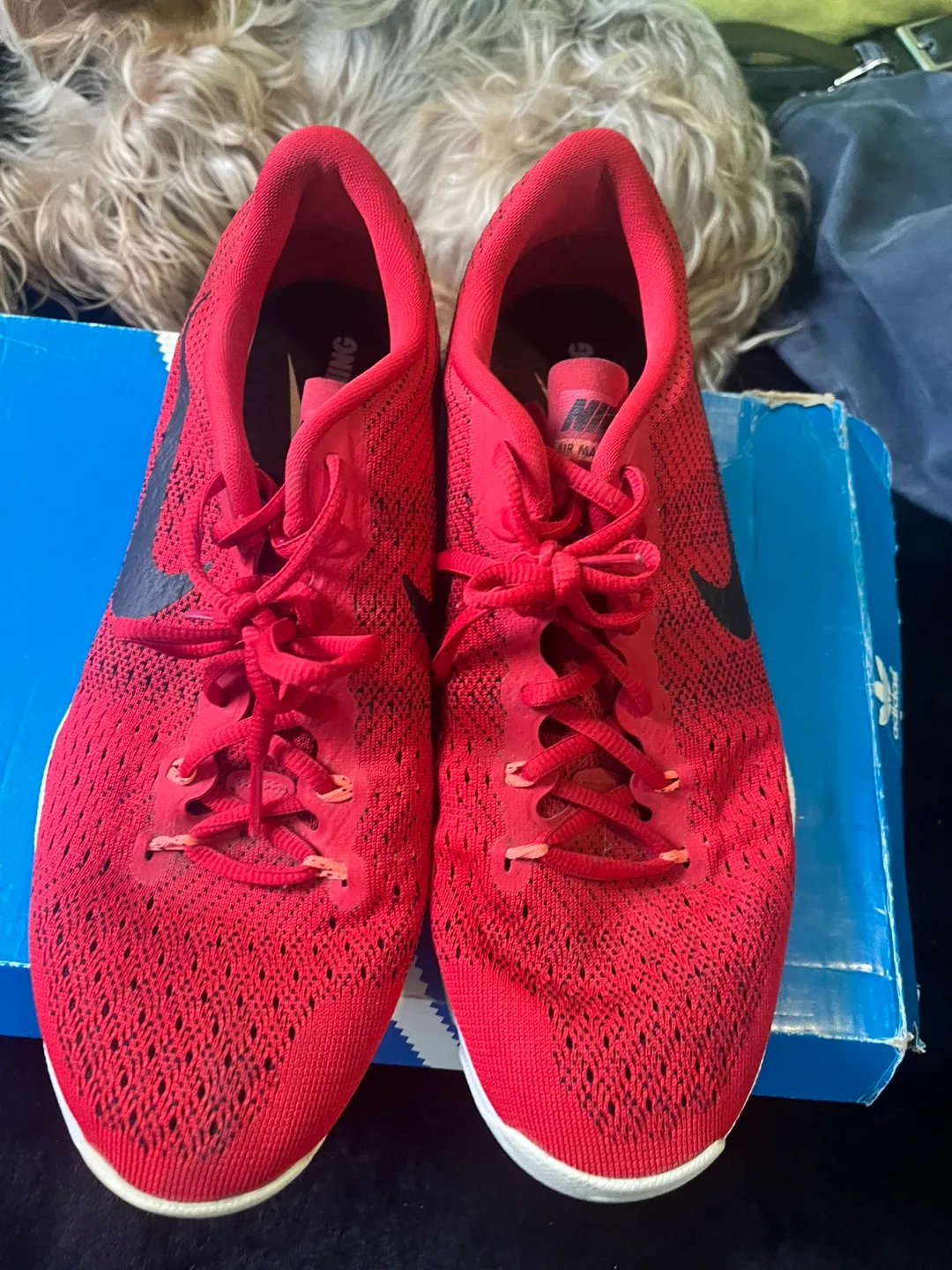 Nike Red Running Shoes image indicator(3)