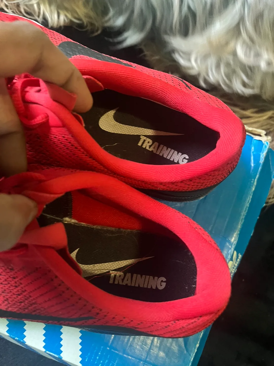 Nike Red Running Shoes image indicator(2)