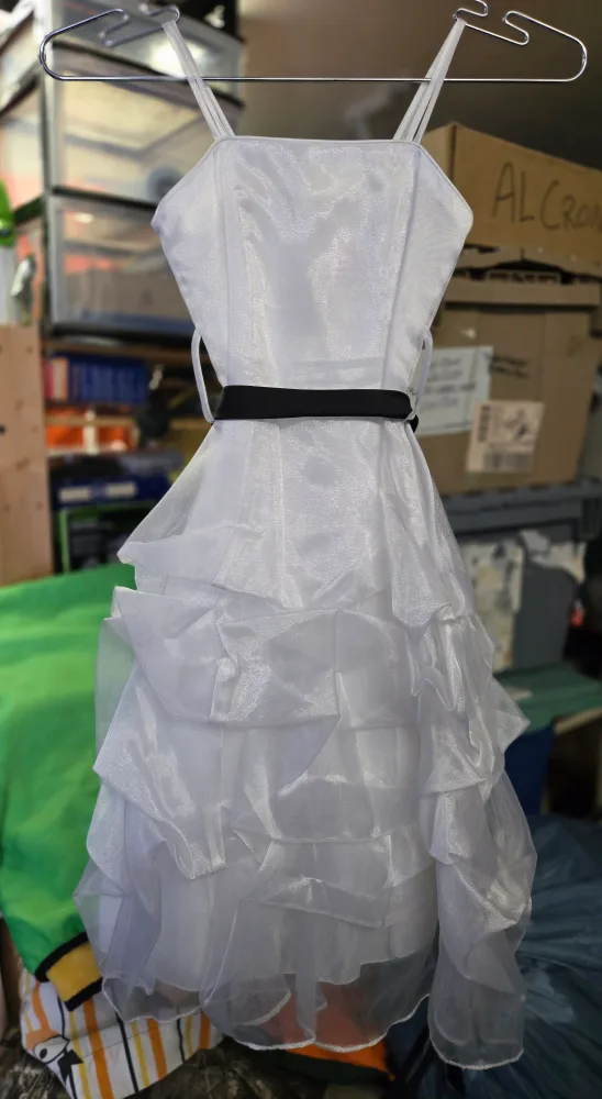 Fancy dress,  all New with tags. image indicator(4)