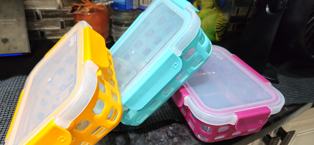 Set of 3 Glass Food Containers