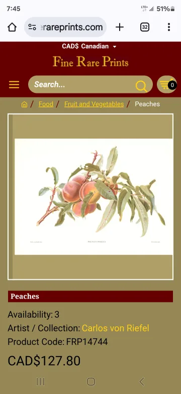 Rare Vintage Peach Print by Carlos Von Riefel image indicator(6)