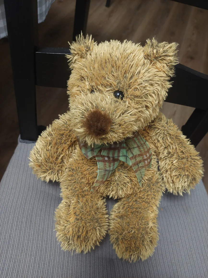 Brown Plush Teddy Bear thumbnail
