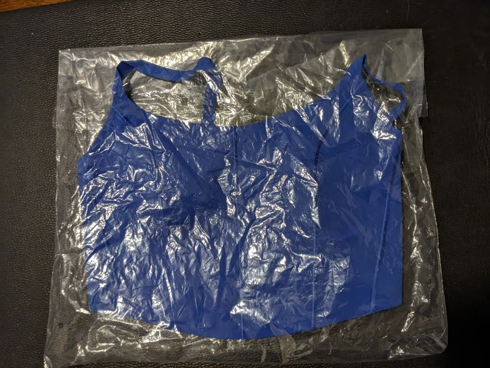 Brand New Aerie Corset Sports Bra S image indicator(2)