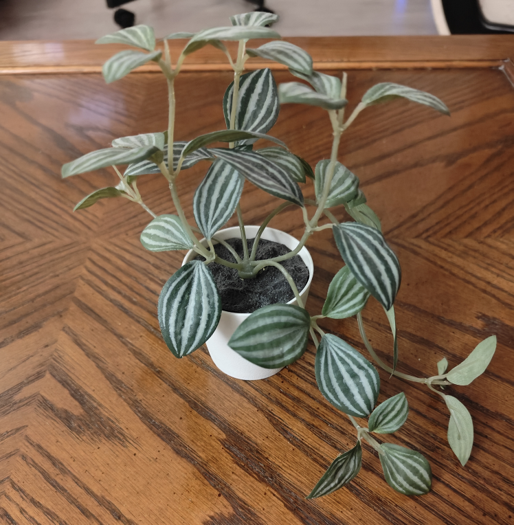 #freecycle Small Artificial Plant