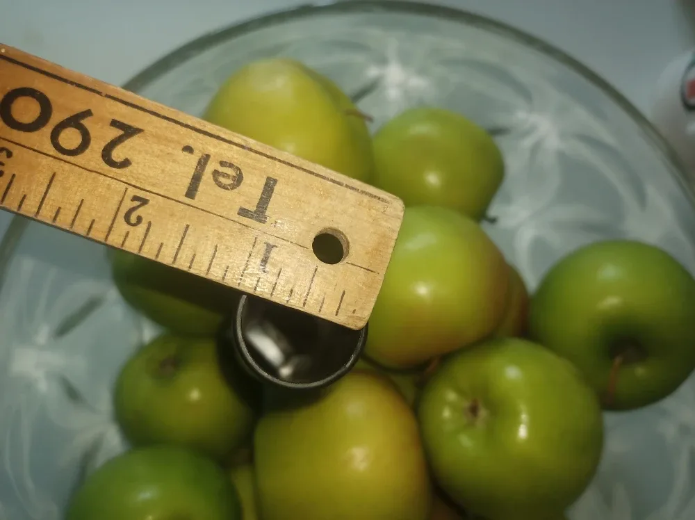 Attachment for Vacuum #freecycle image indicator(2)