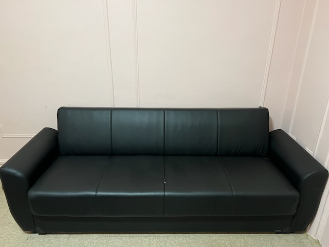 Black Futon with Storage#ThriftyPicks