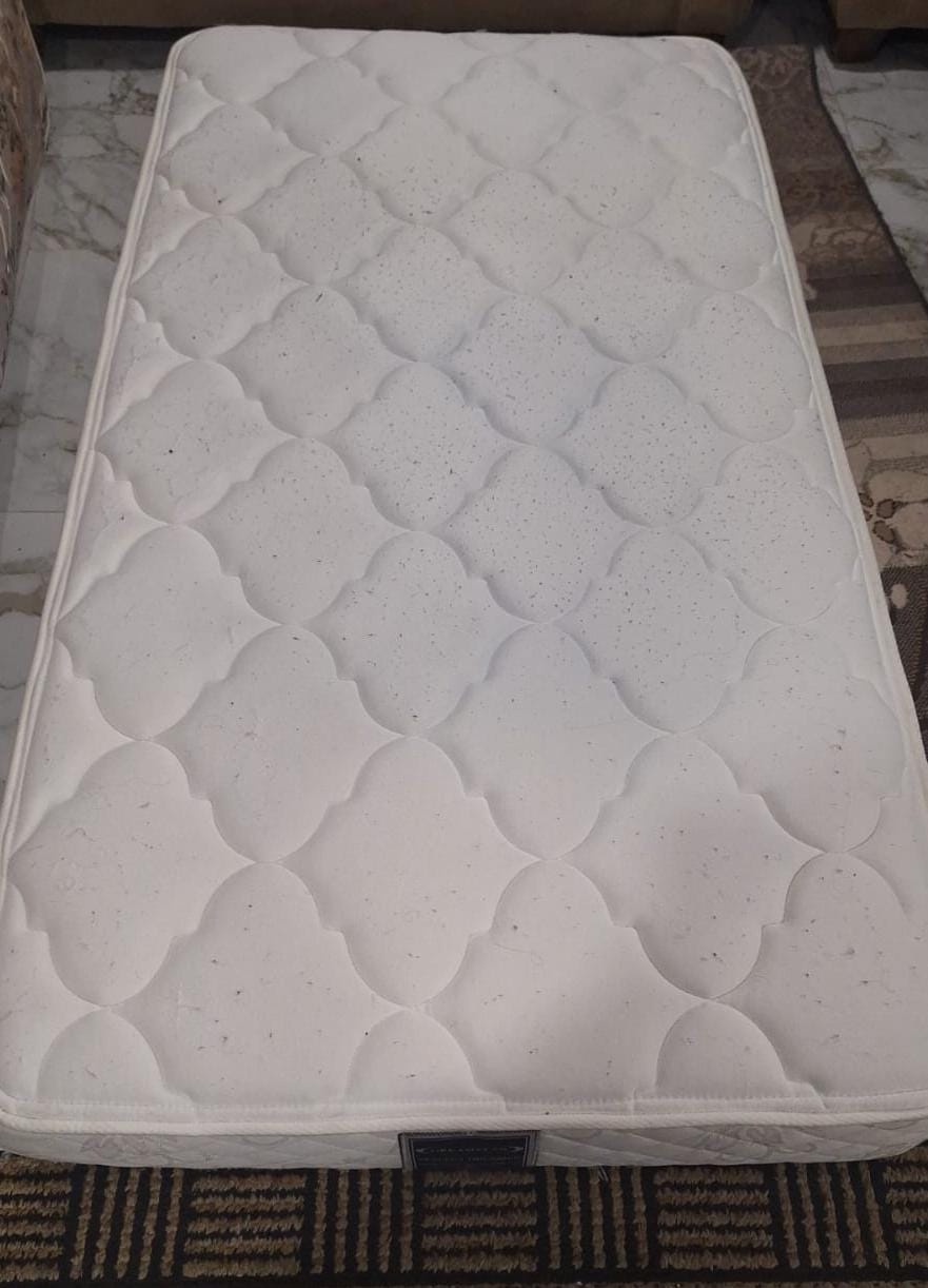 Twin/Single Mattress #ThriftyPicks
