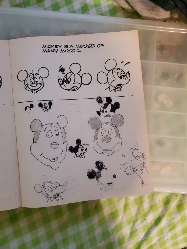 HOW TO DRAW MICKEY MOUSE AND FRIENDS BOOK image indicator(4)