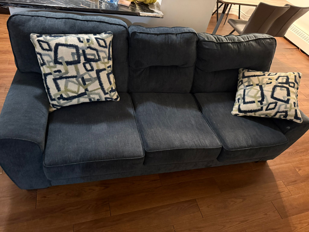 Dark Blue Sofa, & free  TV Stand (if wanted)
