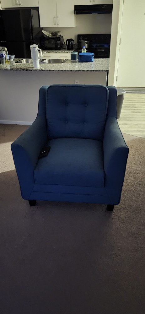 Blue Loveseat and Armchair Set