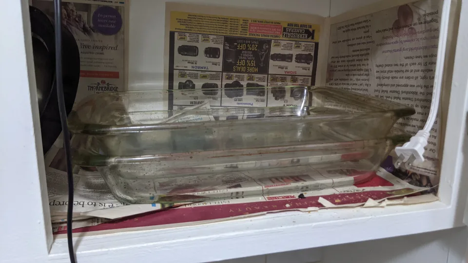 Set of 4 trivets, kettle, serving plate, etc image indicator(4)