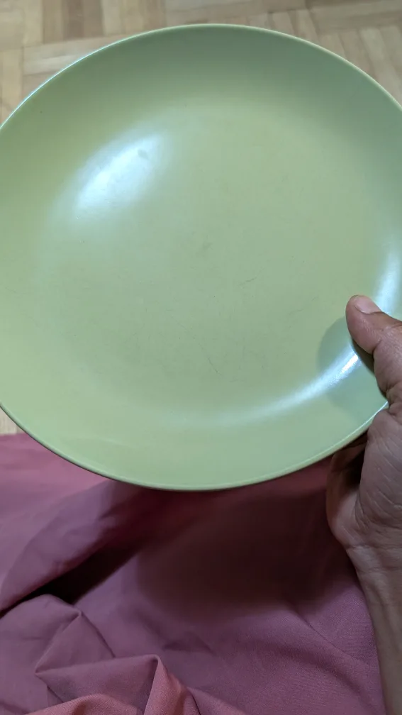 Set of 8 Green Dinner Plates#freecycle image indicator(5)