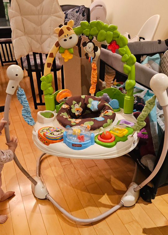 Fisher-Price Go Wild Jumperoo