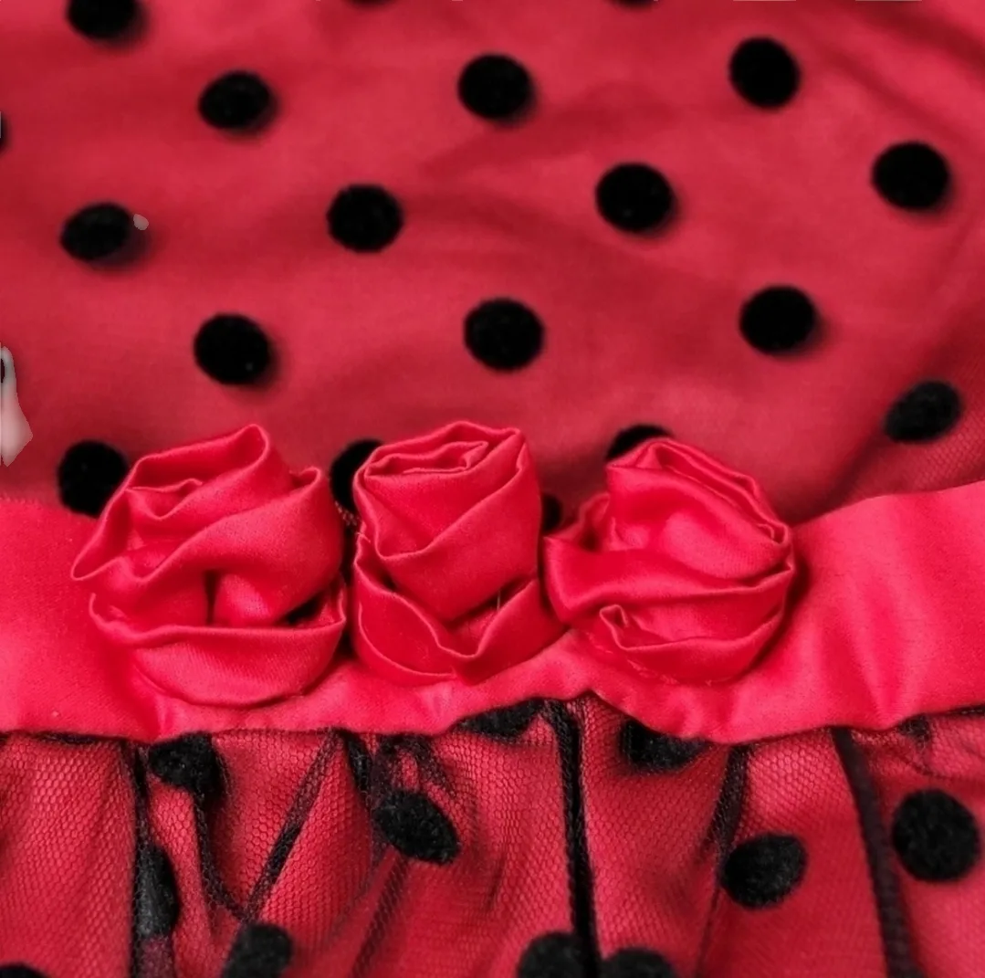 Red Dress w Black Velvet Polka-dots + Red Satin Roses Size 4 image indicator(3)