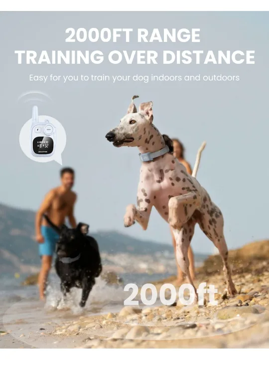 Remote Dog Training Collar with 3 Modes image indicator(3)