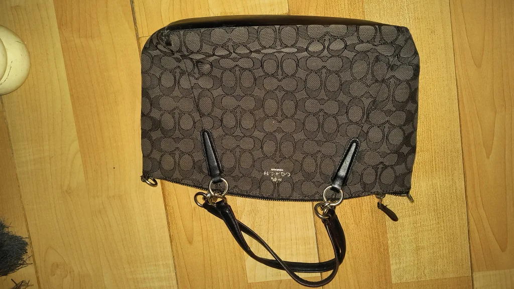 Coach Signature Canvas Tote Bag image indicator(2)