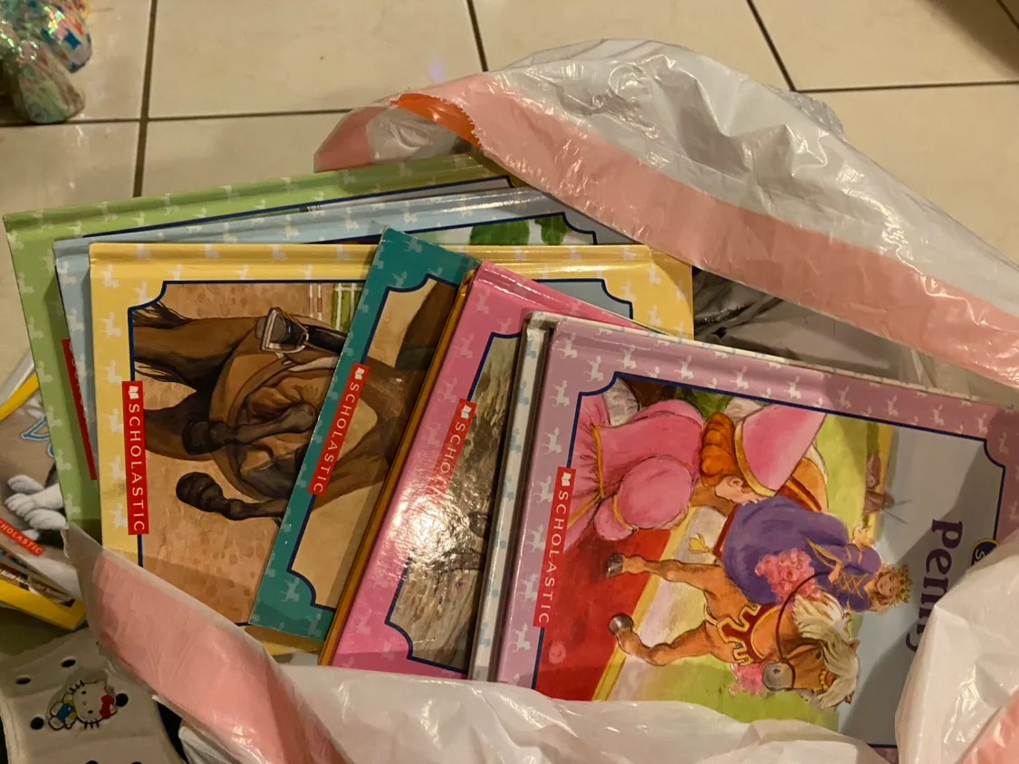 Scholastic Children's Books - Lot of 10 image indicator(2)