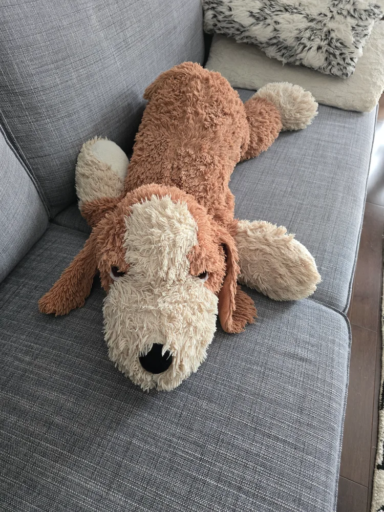Large Plush Dog image indicator(2)