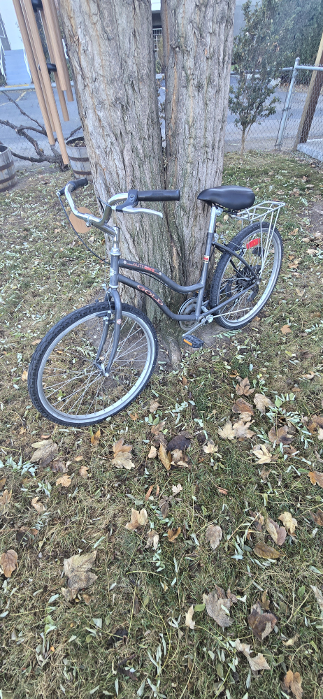 Beach cruiser Bicycle