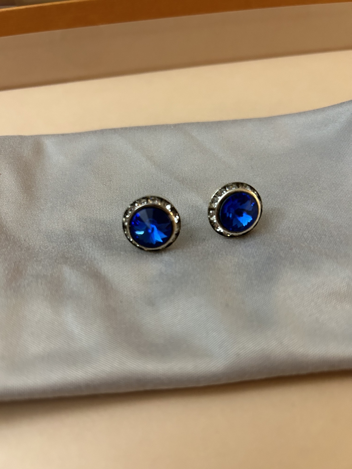 Blue Stud Earrings