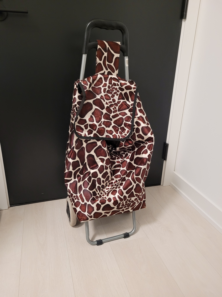 Shopping Cart with Giraffe Pattern