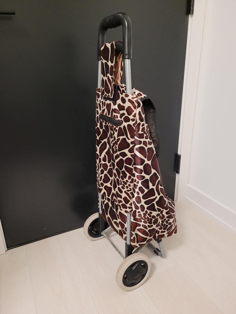 Shopping Cart with Giraffe Pattern - photo 2