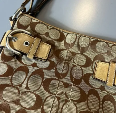 Coach Signature C Bag image indicator(2)