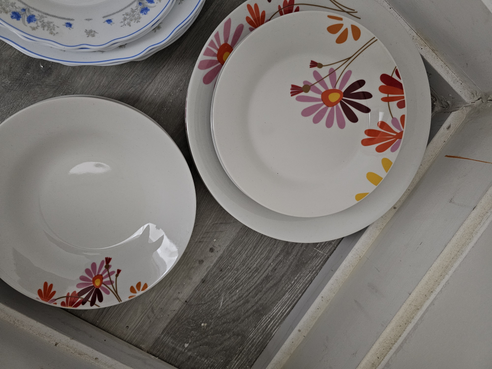 Set of Dinner Plates
