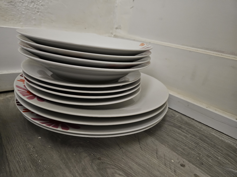 Set of Dinner Plates - photo 2
