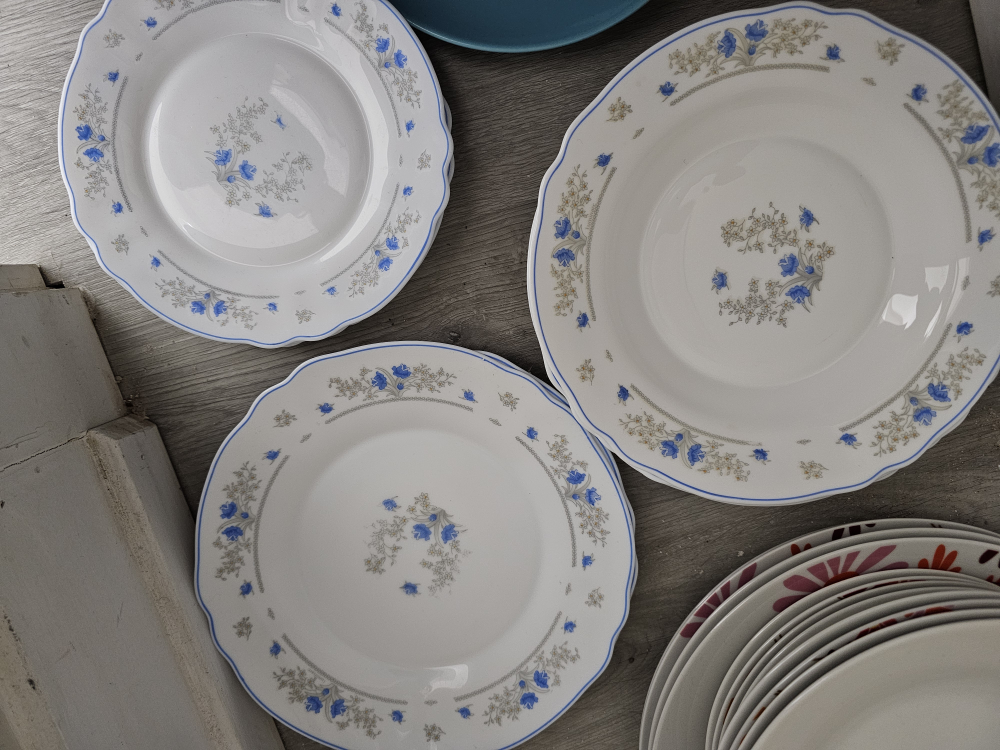 Set of Dinner Plates - photo 3