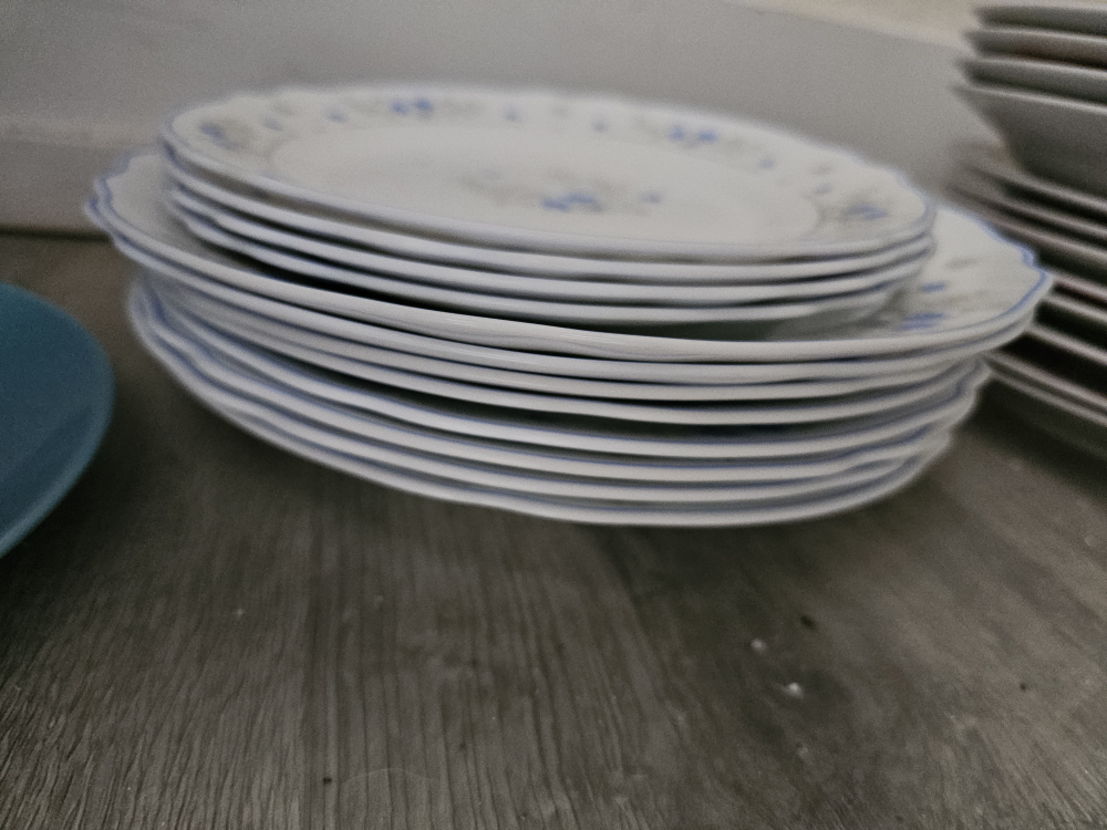 Set of Dinner Plates - photo 4