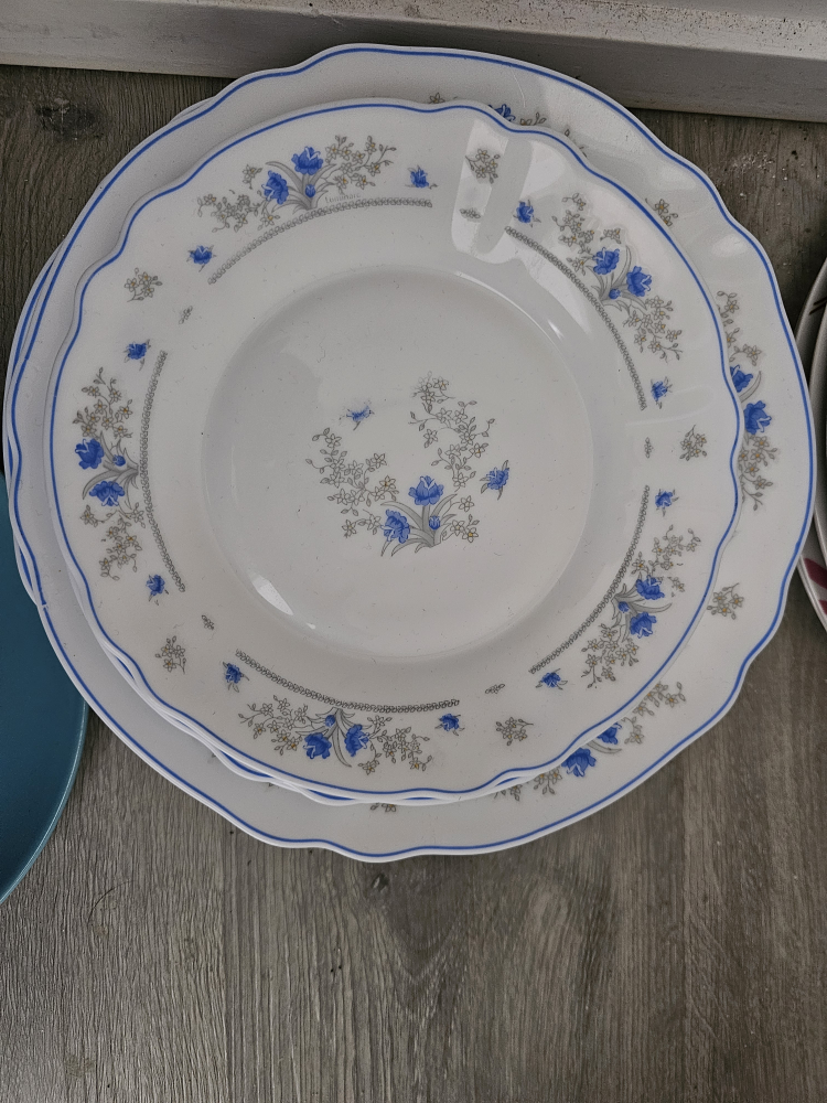 Set of Dinner Plates - photo 5