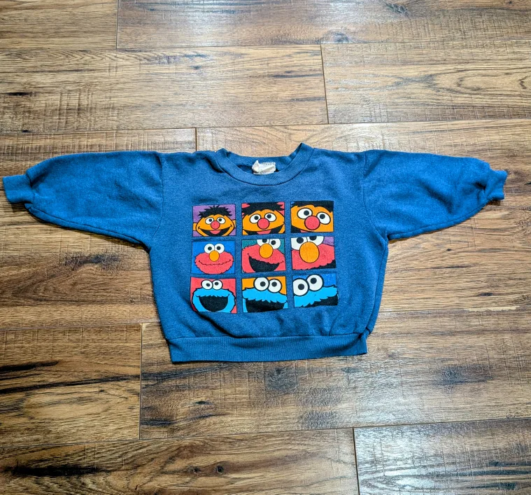 Vintage Sesame Street Sweatshirt thumbnail