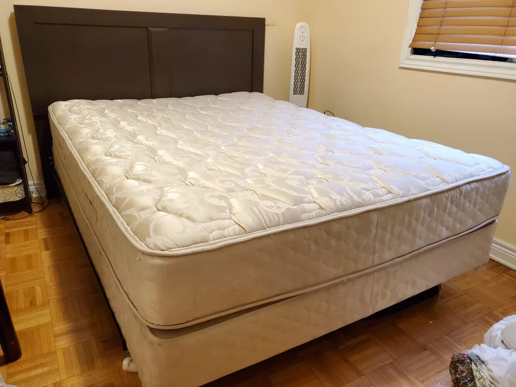 Seally Mattress and Bed Set for Sale image indicator(3)