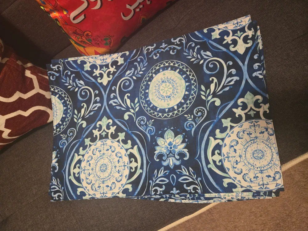 Set of 20 Placemats #ThriftyFinds image indicator(6)