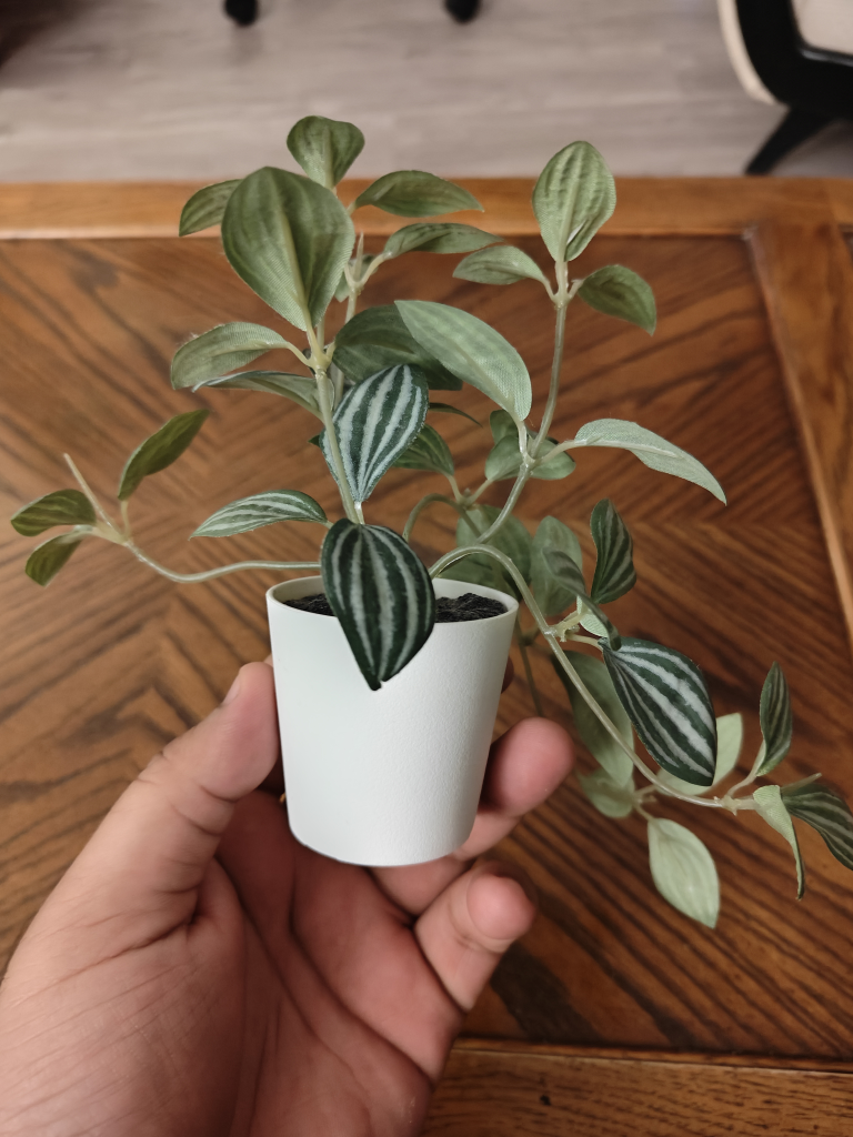 #freecycle Small Artificial Plant - photo 2