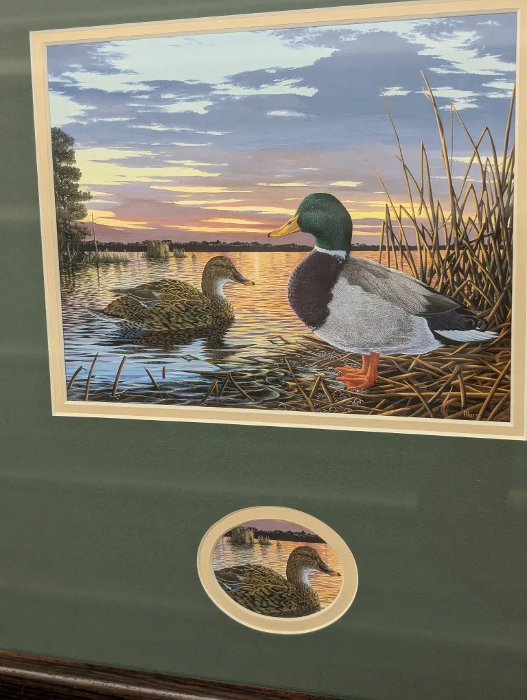 Vintage Framed Duck Print image indicator(4)