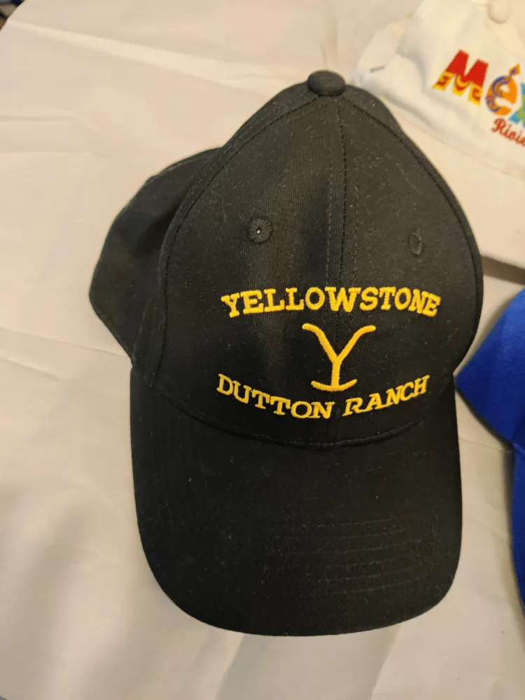 4 Assorted Baseball Caps image indicator(2)