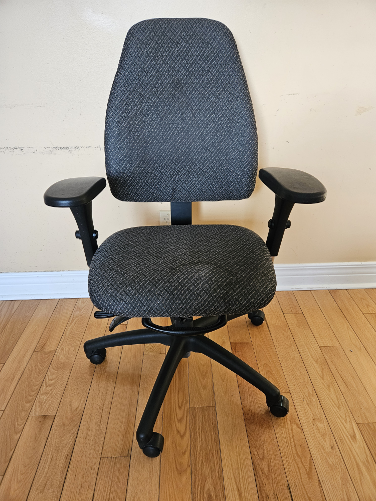 Ergonomic Office Chair