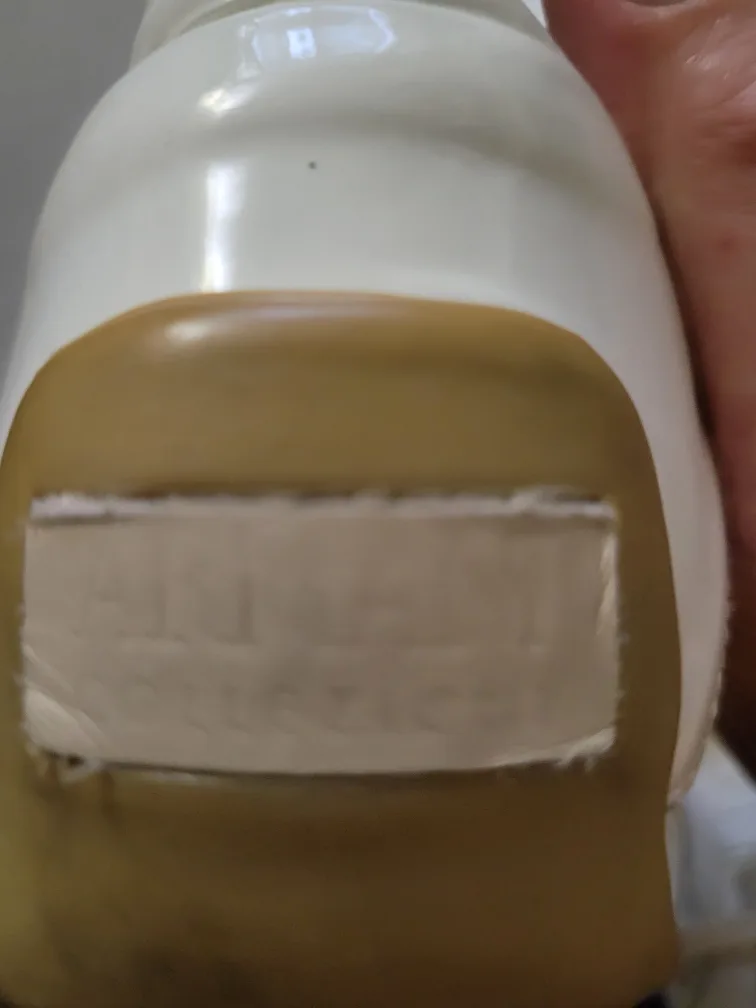 Armani Collezioni White & Gold Low Top Sneakers image indicator(4)