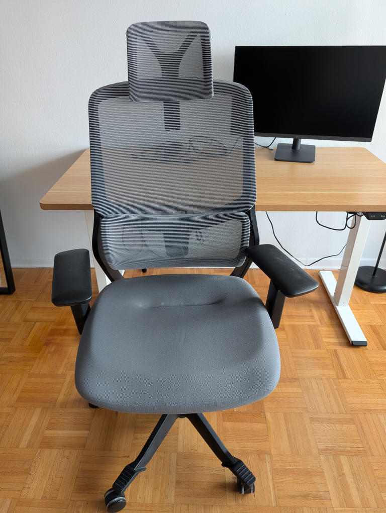 FlexiSpot Ergonomic Office Chair