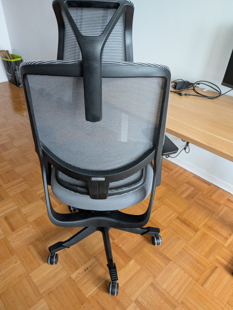 FlexiSpot Ergonomic Office Chair - photo 5
