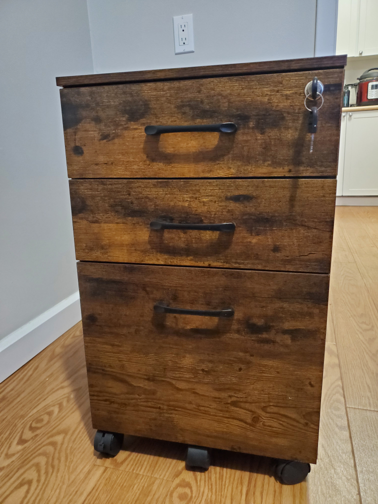 MOVING SALE - 3 Drawer Mobile File Cabinet - photo 5