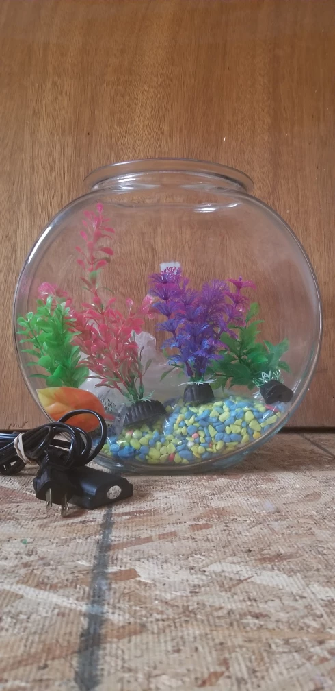 Small Fish Tank with small heater