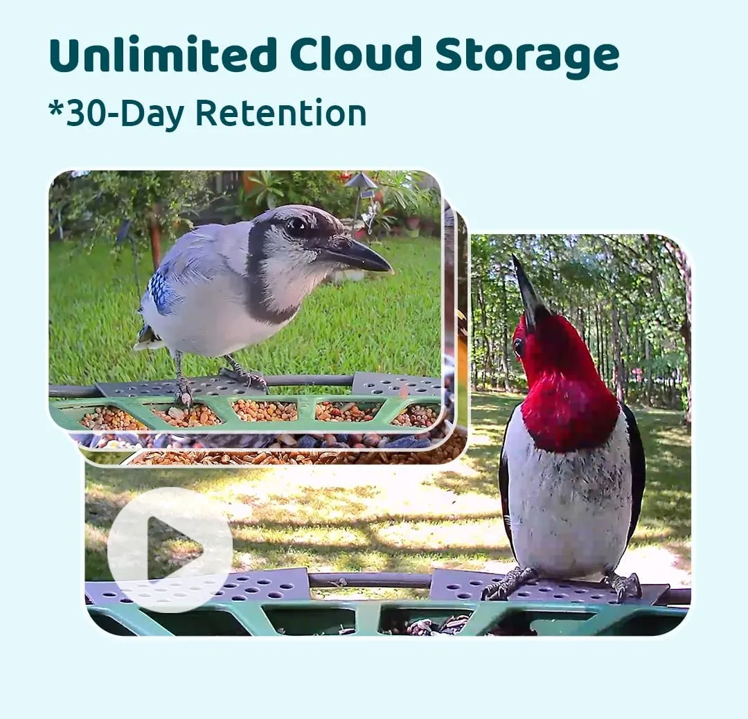 Bird Identifier & Smart Bird Feeder image indicator(5)